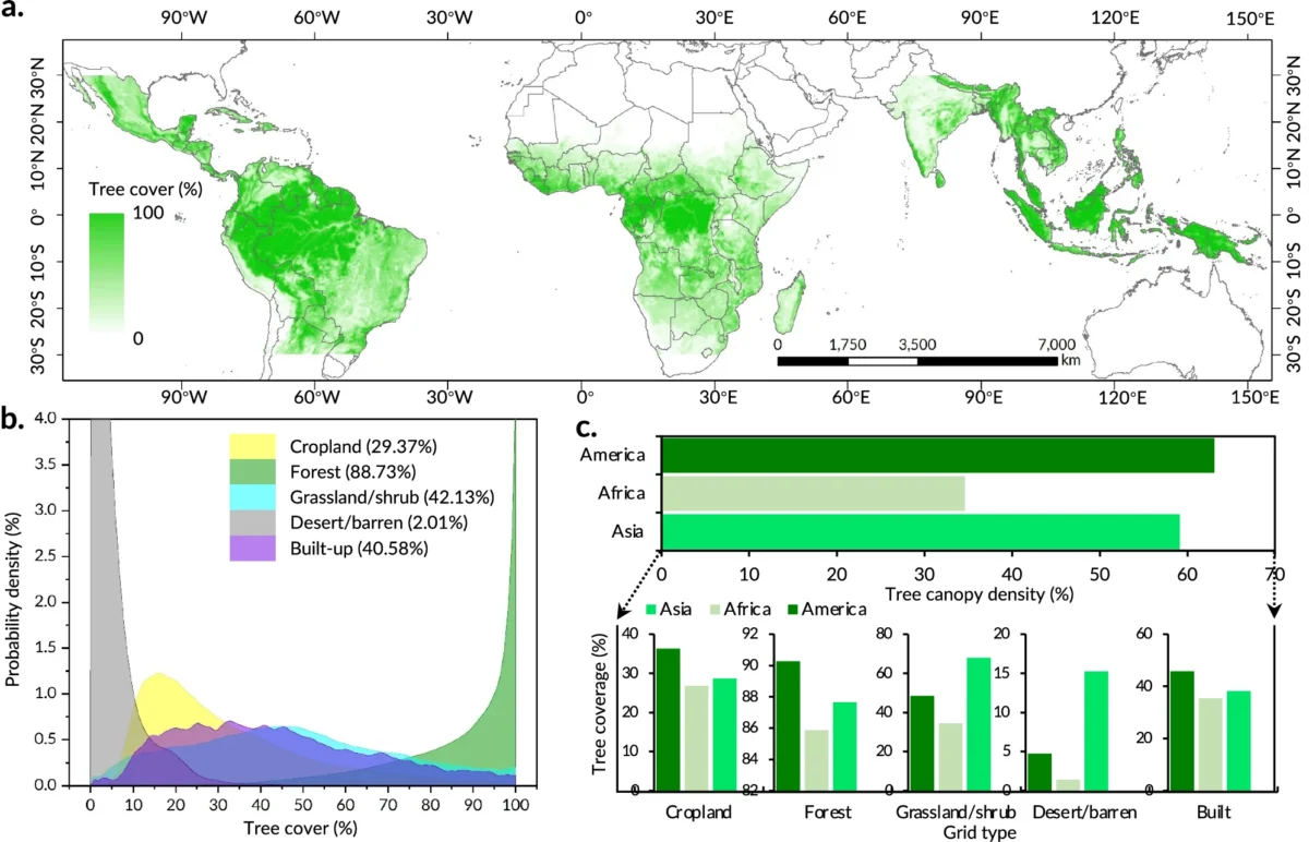 Pan-tropical tree cover. a and b represent the spatial distribution of pan-tropical tree cover and that in different grid types, respectively. c is the proportion of pan-tropical tree cover in different grid types in different regions. From: Mapping previously undetected trees reveals overlooked changes in pan-tropical tree cover