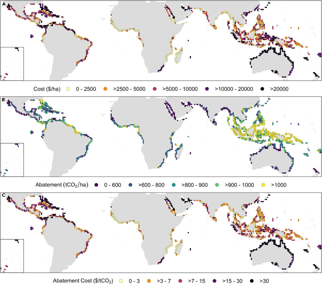 Global maps of restoration cost, carbon abatement potential, and abatement across potential global mangrove restoration sites. (A) Restoration cost ($ ha−1), (B) carbon abatement potential (tCO2 ha−1), and (C) abatement cost ($ tCO2−1). Data were summarized to 1° cells using the area-weighted mean across areas of potential mangrove restoration in each cell.