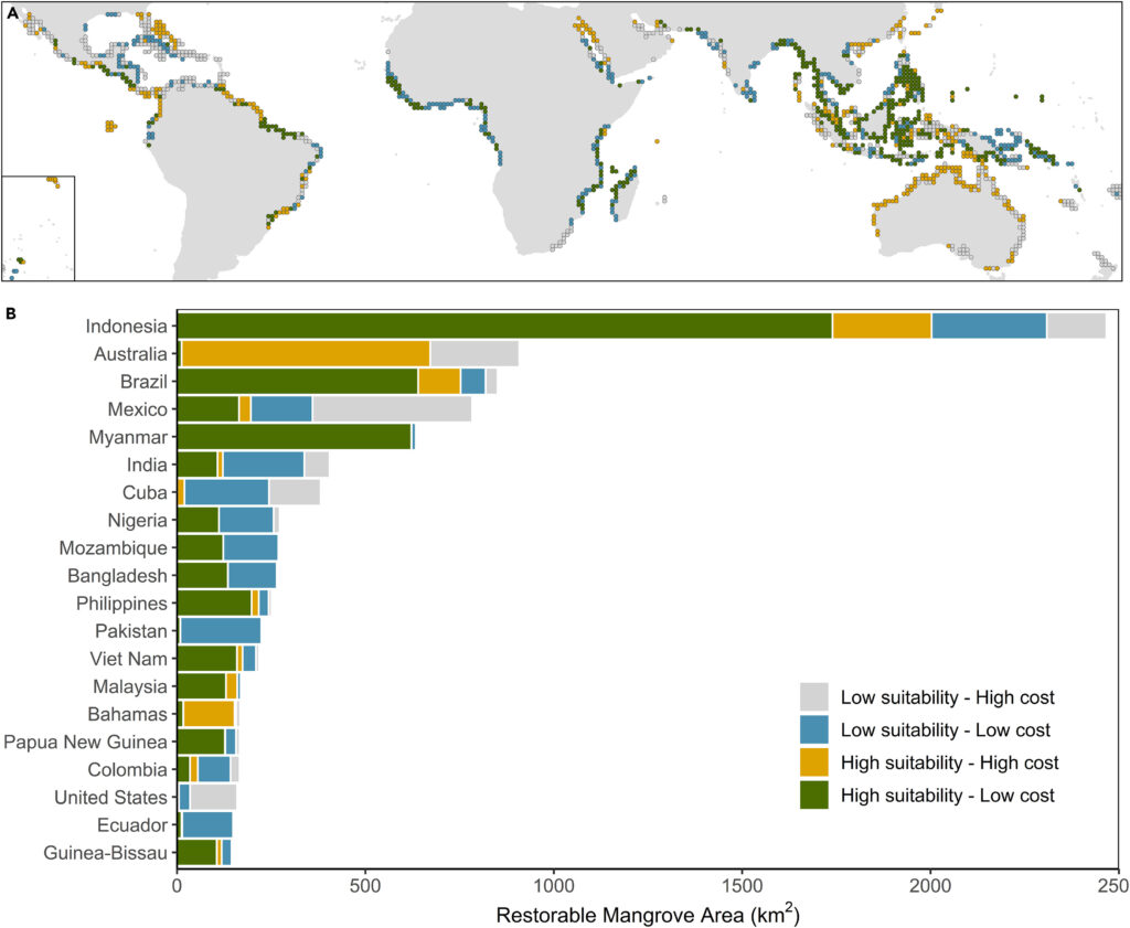 Overlay of abatement cost and biophysical suitability for restoration

(A) Mapped across the global extent of potential mangrove restoration and (B) summed by area for the 20 countries with the greatest area of potential mangrove restoration. Abatement cost was calculated using the area-weighted mean within each 1° cell. Cells were categorized as having “high” or “low” value for each metric relative to the median value.