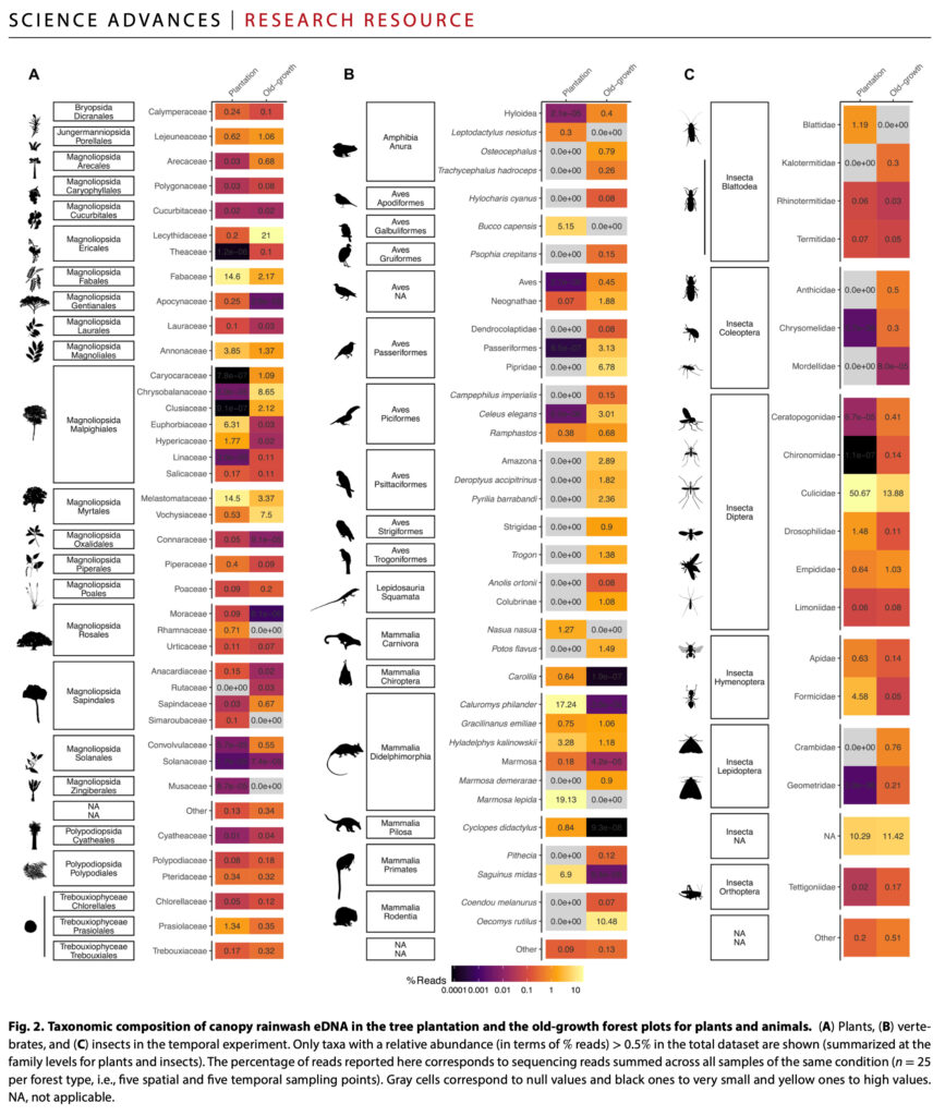 Lucie Zinger et al. (2025) Elusive tropical forest canopy diversity revealed through environmental DNA contained in rainwater.