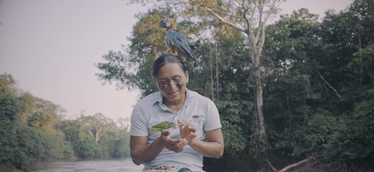 Angel Wasump, Achuar territory director of Kara Solar, is one of the Indigenous leaders involved in the Solar Rivers Initiative, a model to bring solar technology into the hands of communities and scale viable alternatives to roads that threaten biodiverse territories across the Amazon. Image by Andrés Cornejo.