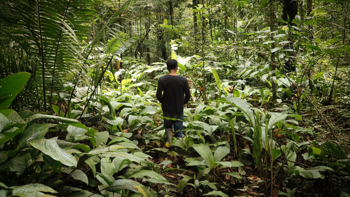 Tikuna man in the Amazon