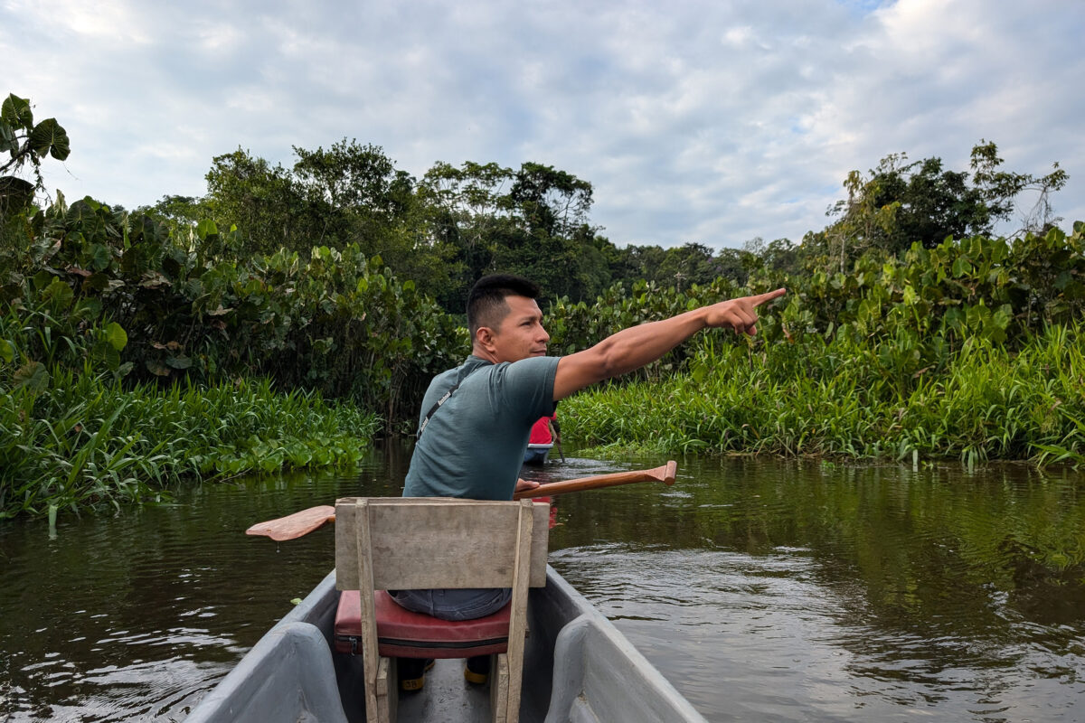 Indigenous guide at Sani Isla in the Ecuadorian Amazon. Image by Rhett Ayers Butler.